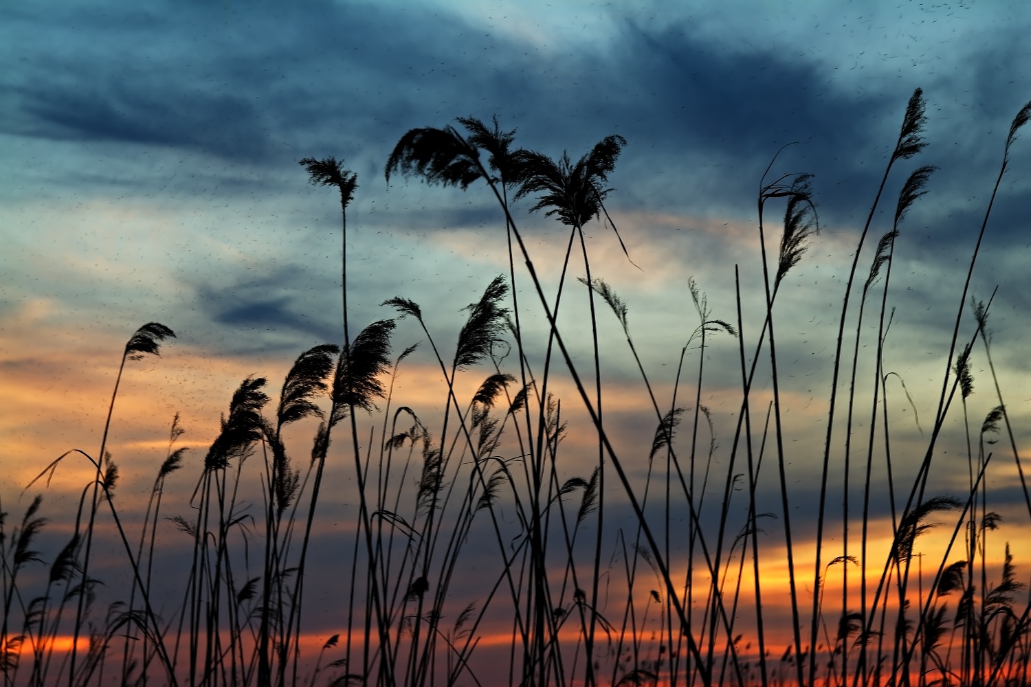 photo "***" tags: landscape, sunset