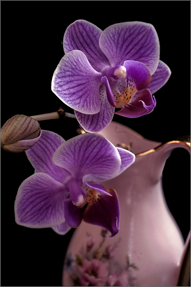 photo "***" tags: macro and close-up, still life, misc., 