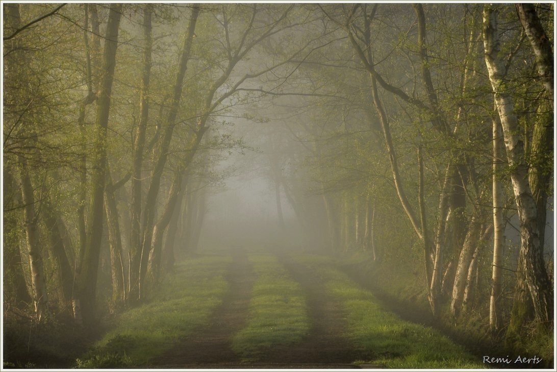 photo "***" tags: landscape, nature, 