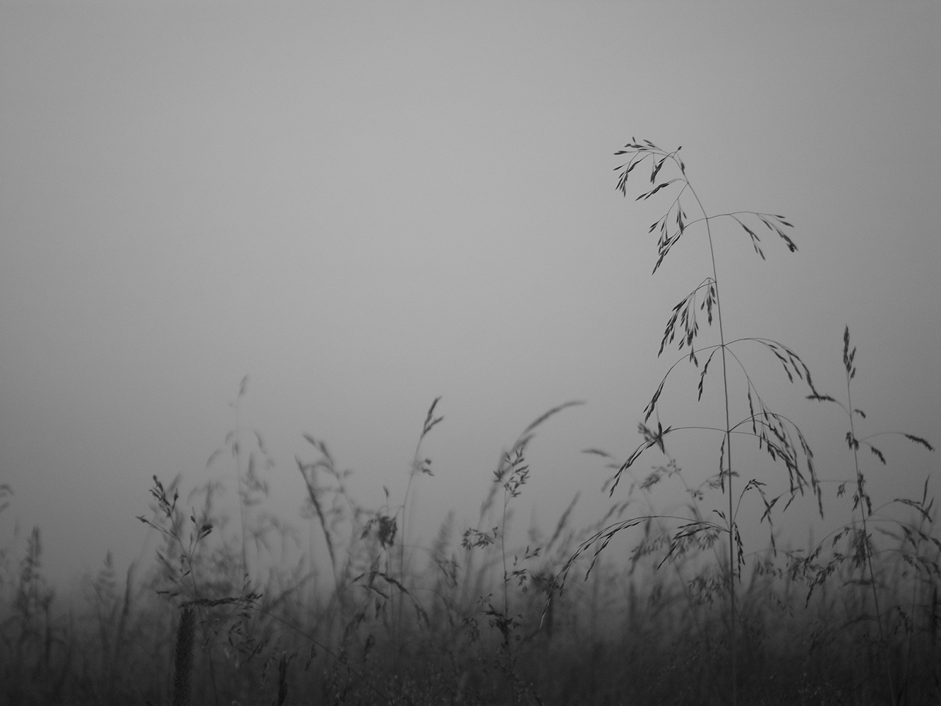 photo "***" tags: landscape, nature, black&white, 