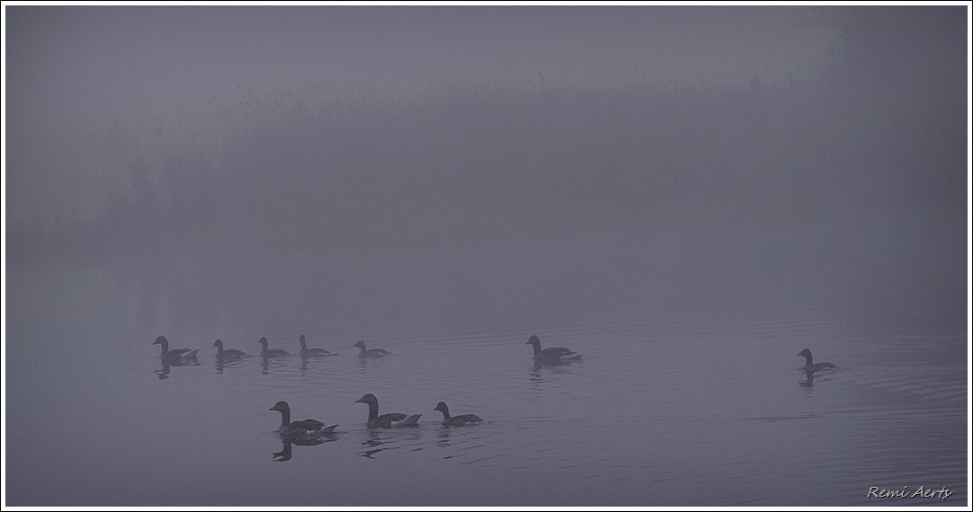 photo "***" tags: landscape, nature, 