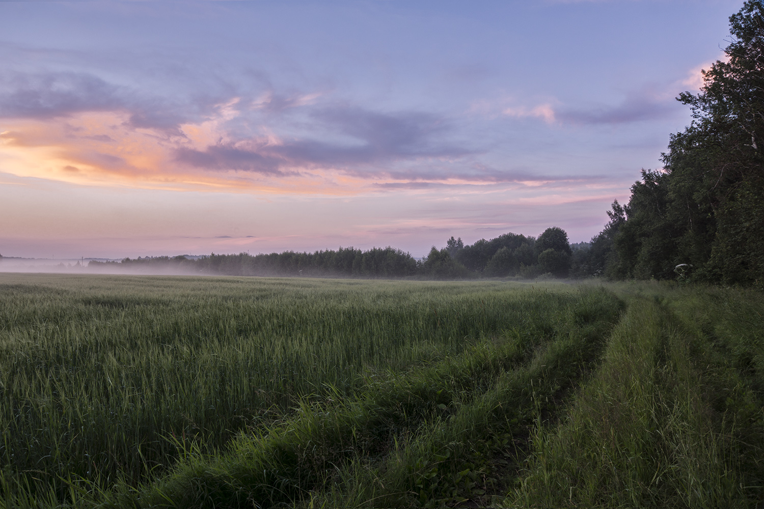 фото "Сумерки" метки: пейзаж, природа, закат, лес, летний вечер, поле, родные просторы, российская природа, сумерки, туман
