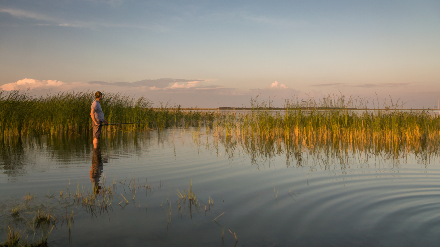 фото "***" метки: , 
