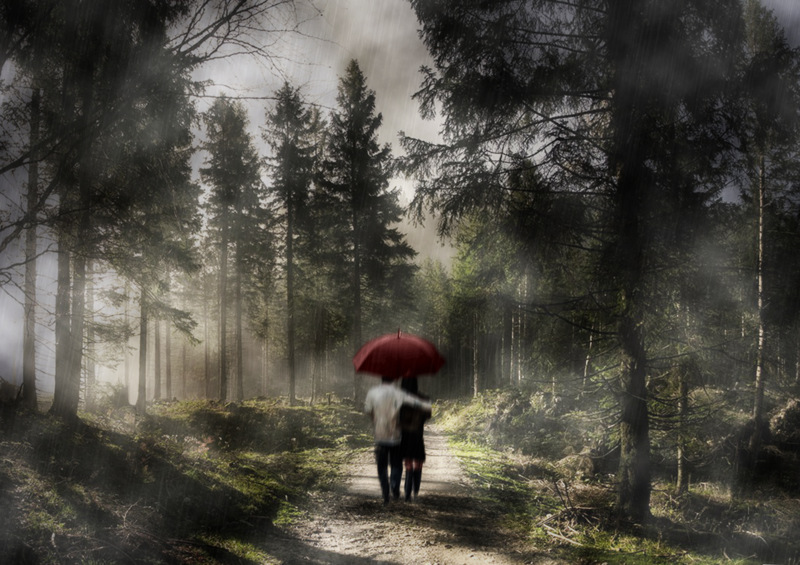 photo "Rain and sun..." tags: nature, digital art, couple, feeling, rain