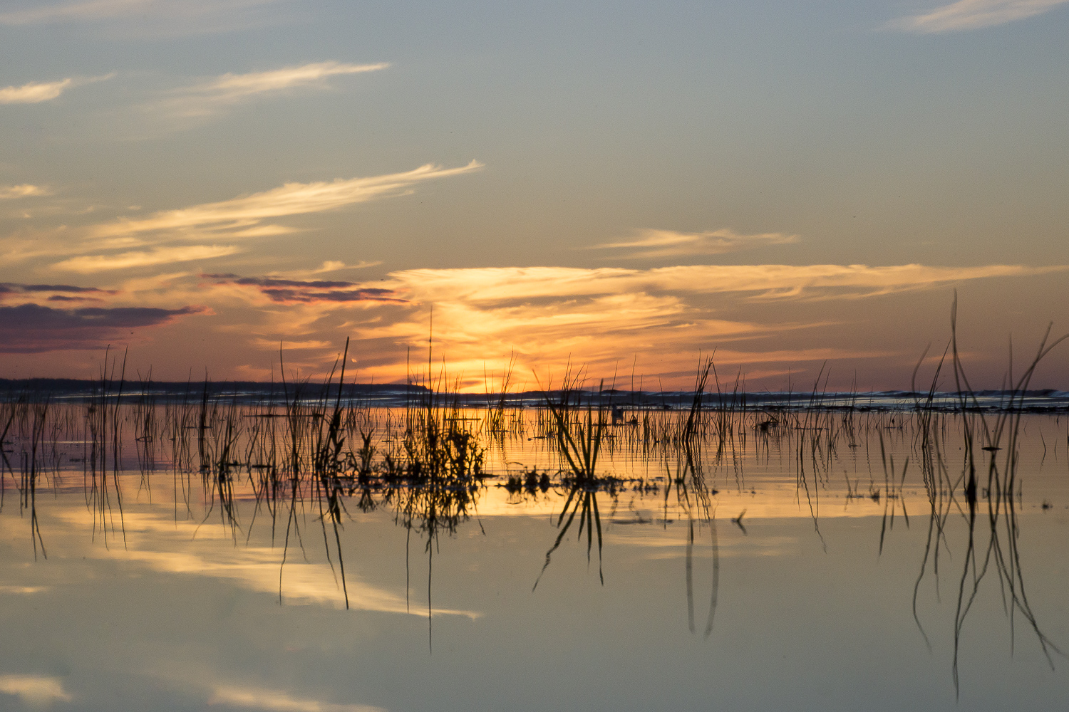 фото "***" метки: пейзаж, природа, 