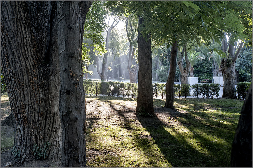 photo "Утро в парке" tags: landscape, genre, misc., 