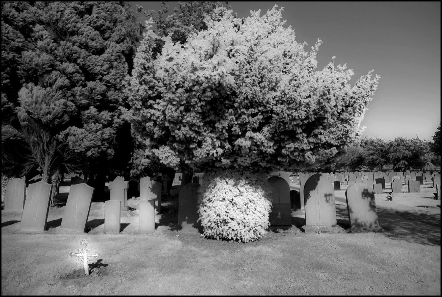 фото "Из серии "Кладбищенские истории"..." метки: жанр, черно-белые, 
