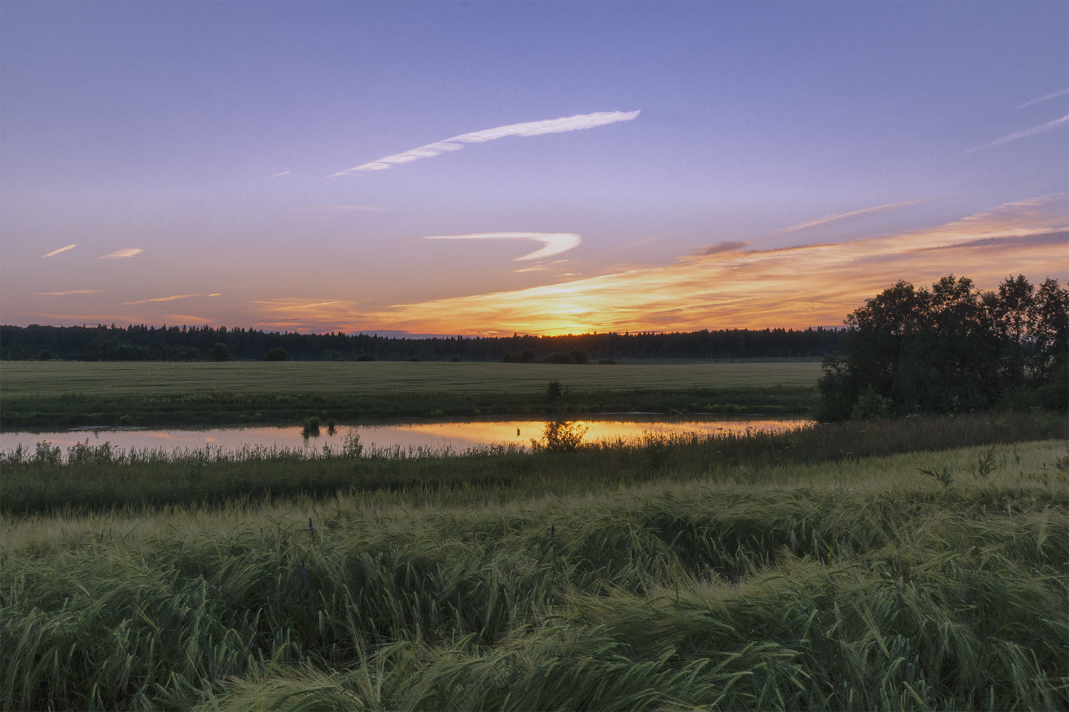 photo "***" tags: landscape, nature, field, sunset, Речка, колосится рожь, пейзаж на закате, российская природа, русская природа, умиротворение