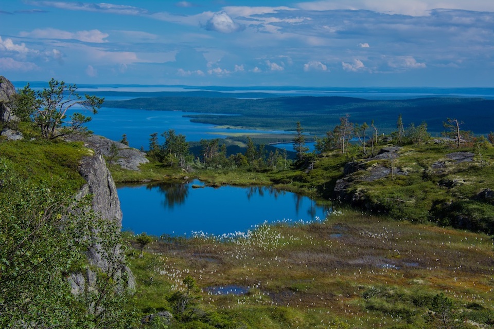 photo "The hanging swamps of Karelia" tags: landscape, nature, travel, Карелия.