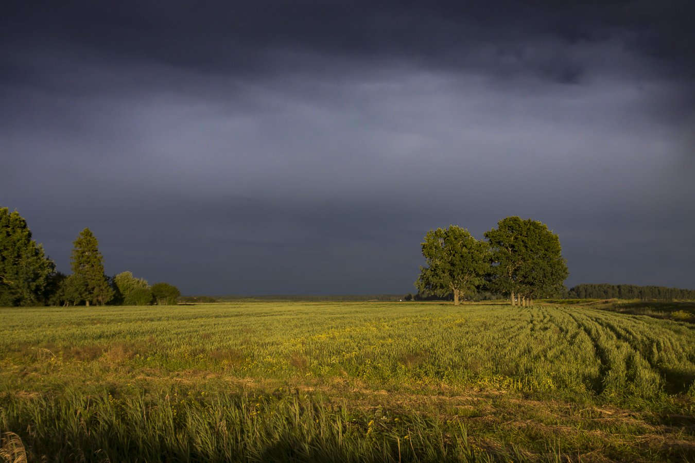 photo "Золотой час" tags: landscape, travel, nature, 