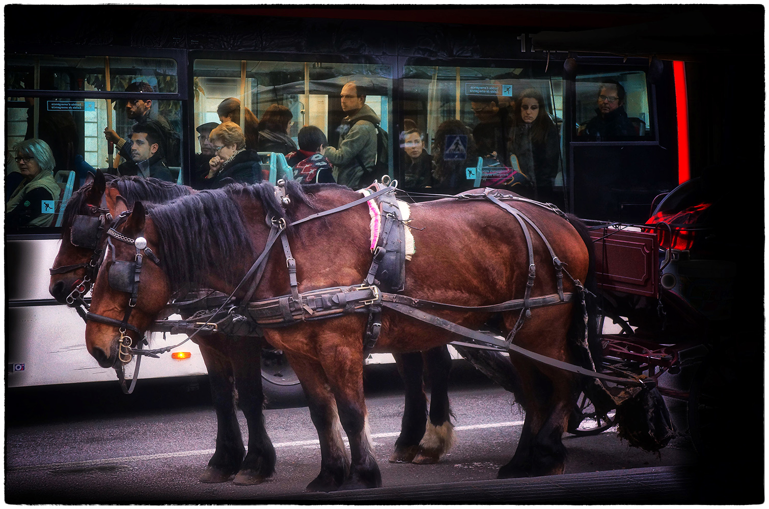 photo "***" tags: street, city, street, автобус, гужевой транспорт, дорожное движение, лошади, на светофоре