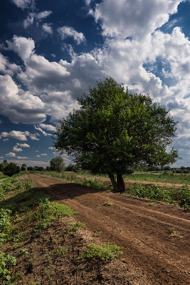 photo "***" tags: landscape, 