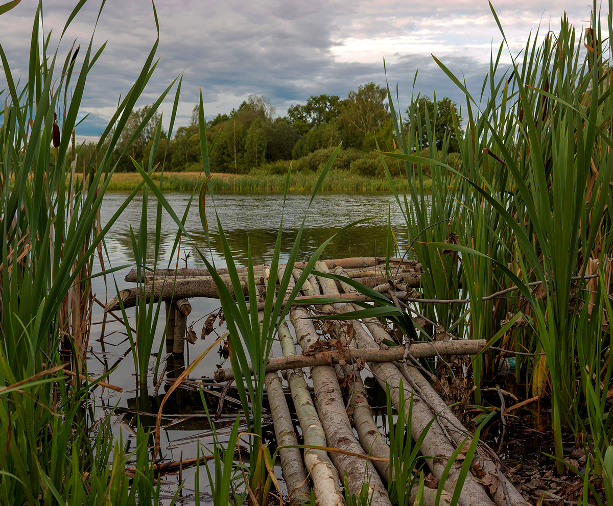 photo "***" tags: misc., Бобруйск, июль, озеро Винницкое