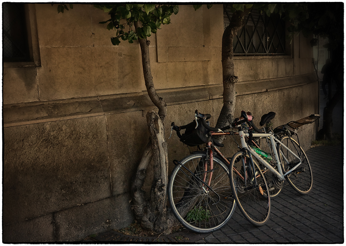 photo "***" tags: street, велосипеды, город вечером, не постановочное фото, романтика на колесах, случайный снимок, старый городок, экивоки
