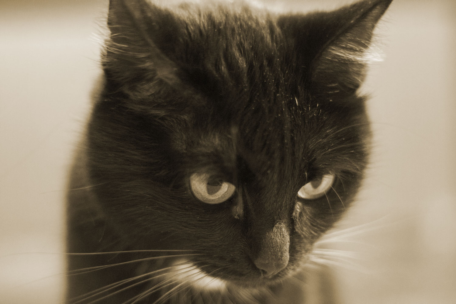 photo "***" tags: , 