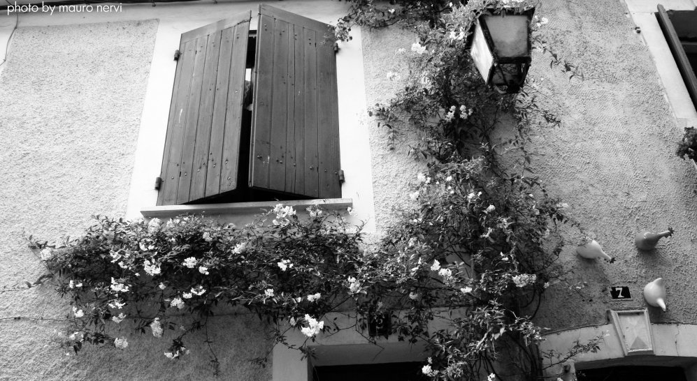 photo "window" tags: black&white, 
