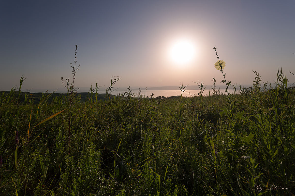 photo "***" tags: landscape, 