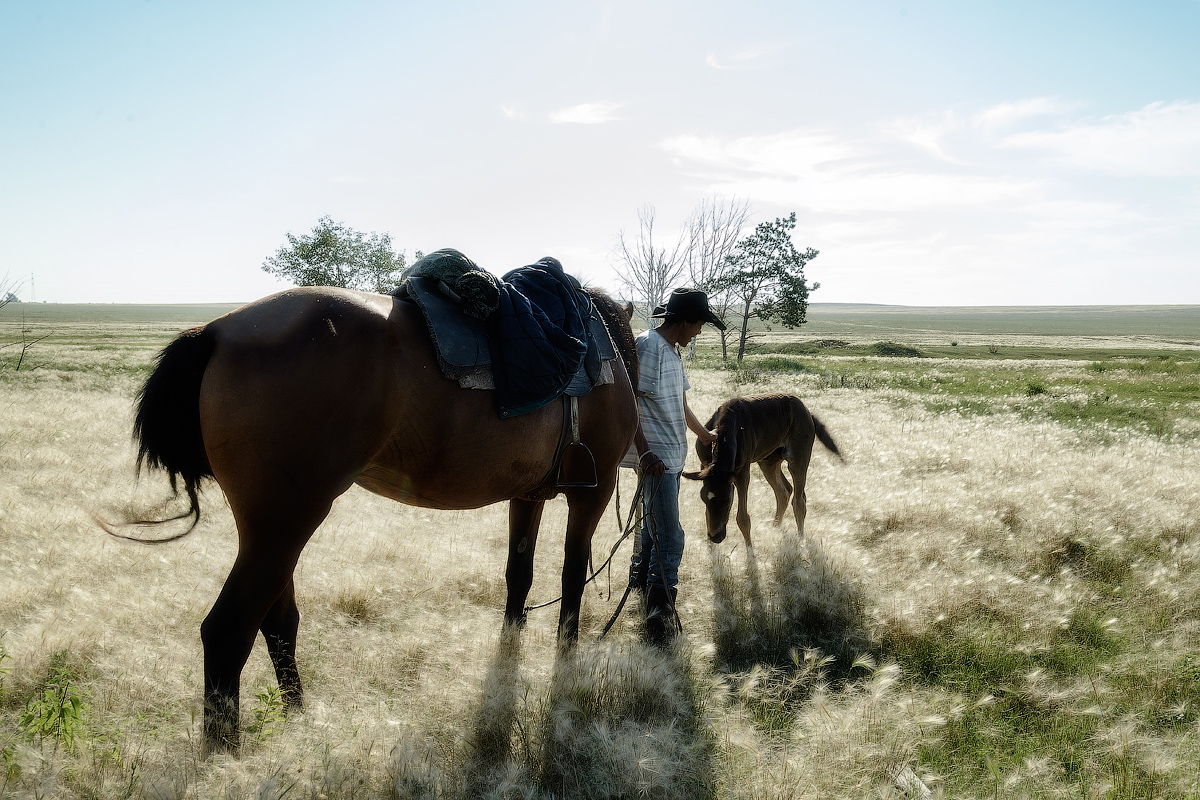 photo "***" tags: genre, 
