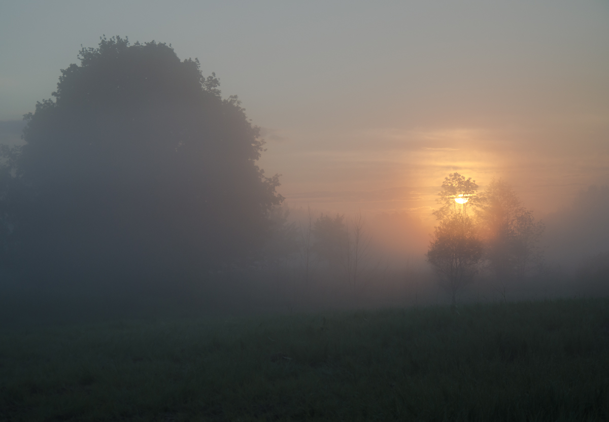 фото "Туманное утро" метки: пейзаж, 