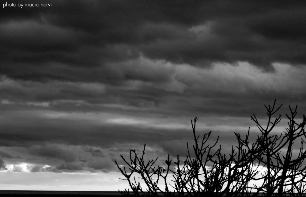 photo "clouds" tags: black&white, 