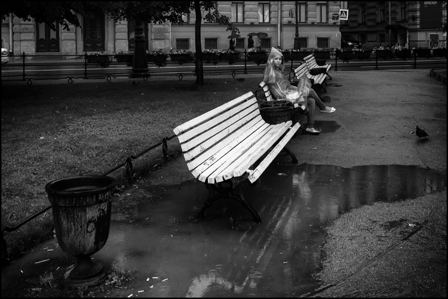 photo "***" tags: street, St. Petersburg, people, street, Город