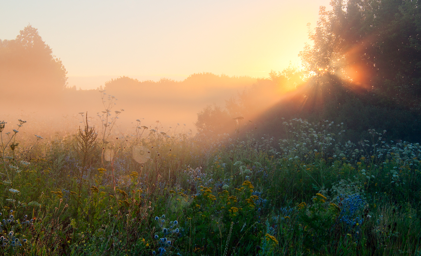 photo "***" tags: landscape, 