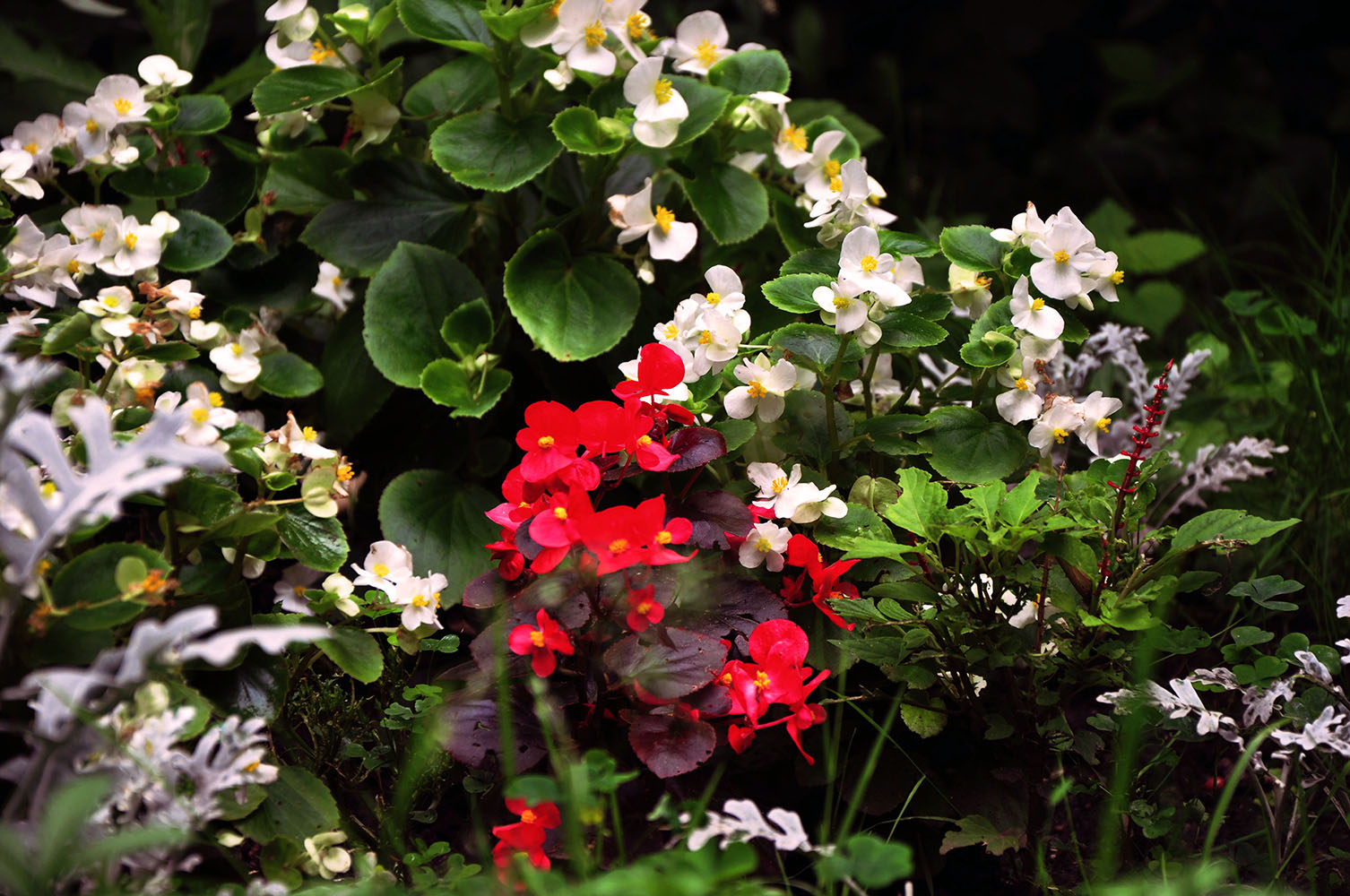 фото "***" метки: , 