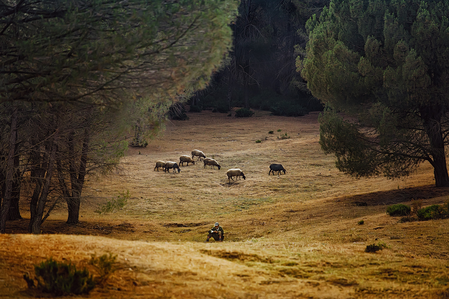 photo "***" tags: landscape, 