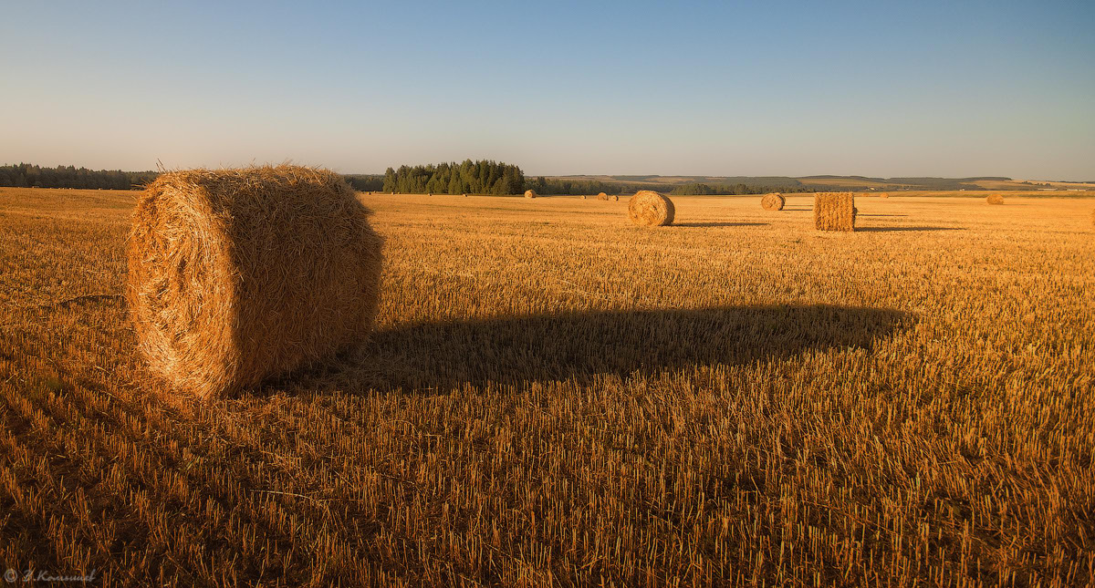photo "***" tags: landscape, nature, evening, field, summer, пприрода, солома, уборка