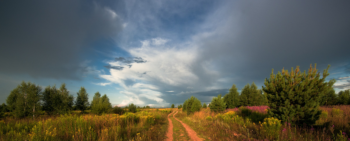 photo "***" tags: landscape, nature, evening, forest, meadow, road, sky, summer, пприрода