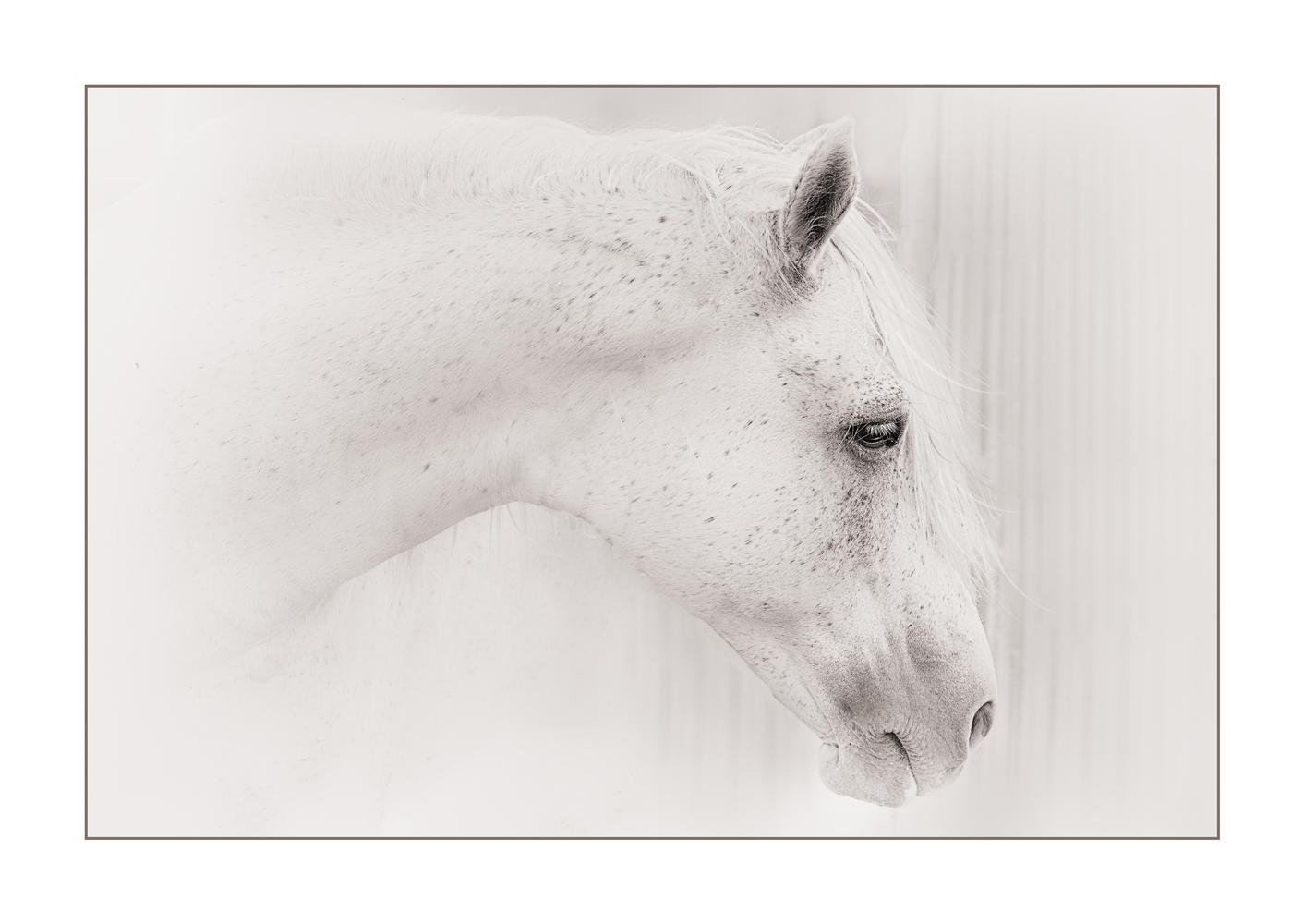photo "***" tags: black&white, 