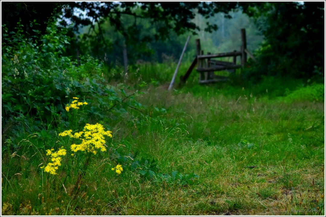photo "***" tags: landscape, nature, 