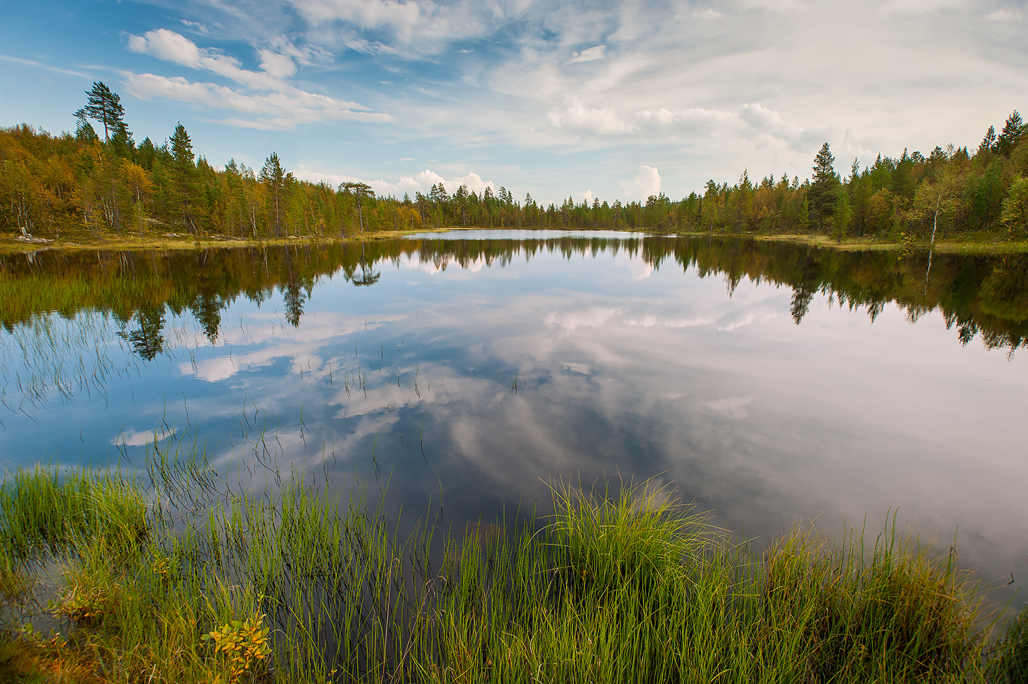 photo "***" tags: landscape, nature, forest, water