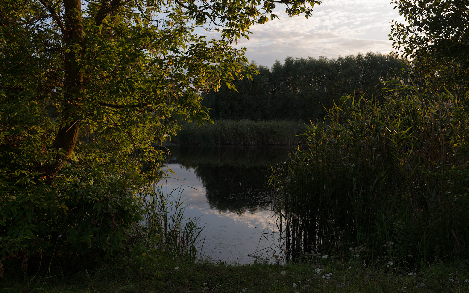 photo "***" tags: landscape, evening, river