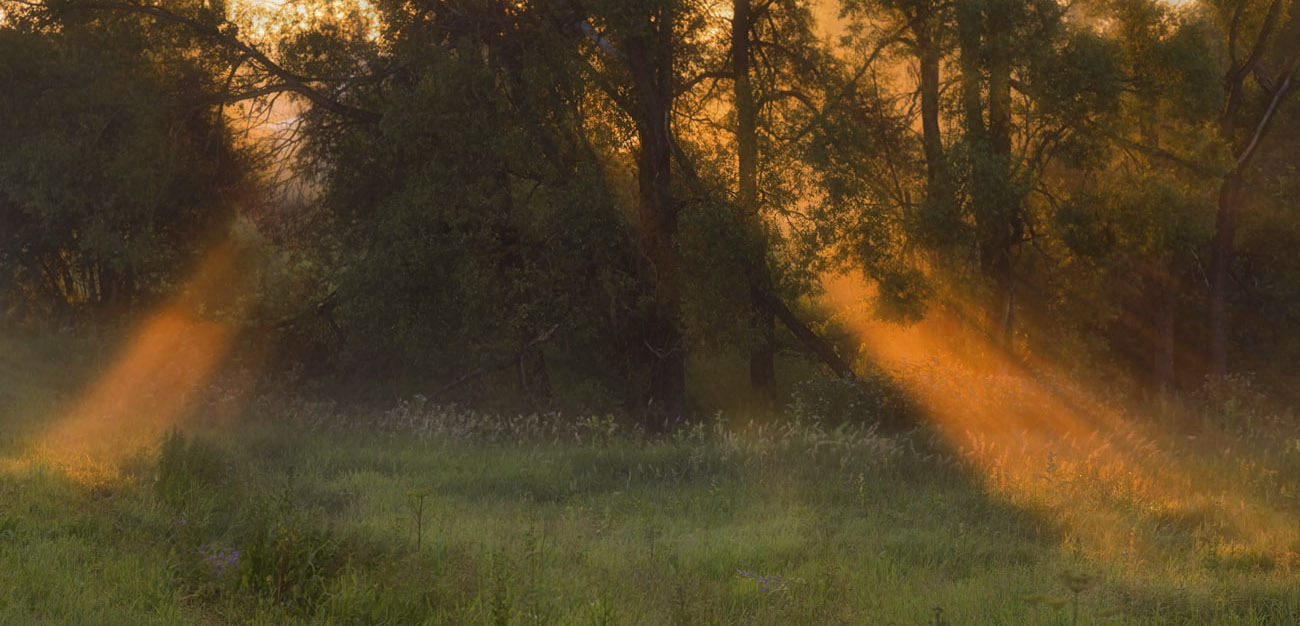 photo "***" tags: panoramic, landscape, nature, fog, morning, sunrise, лучи Солнца, поляна в лесу, светопись рассвета