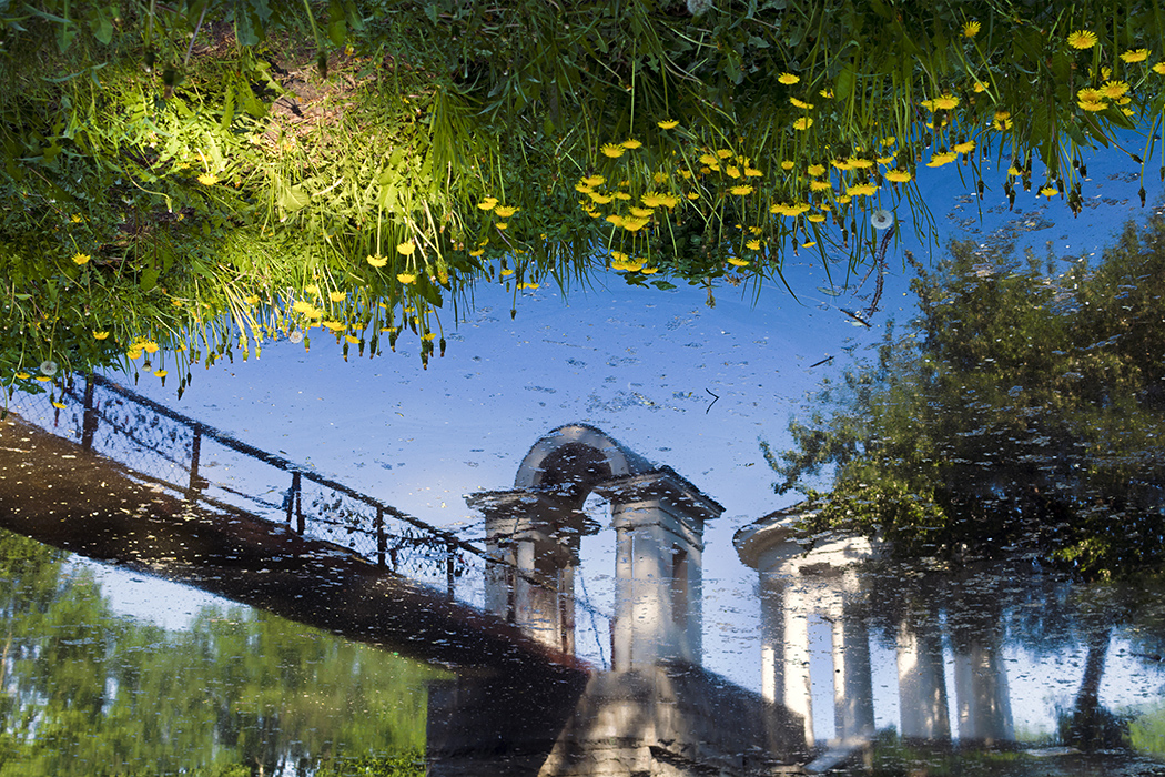 фото "Одуванчиковое небо" метки: природа, беседка, вода, лето, мостик, одуванчики, парк, трава