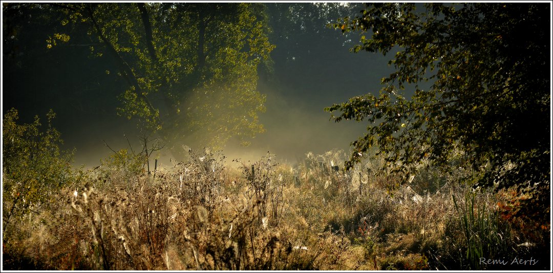 фото "***" метки: пейзаж, природа, 