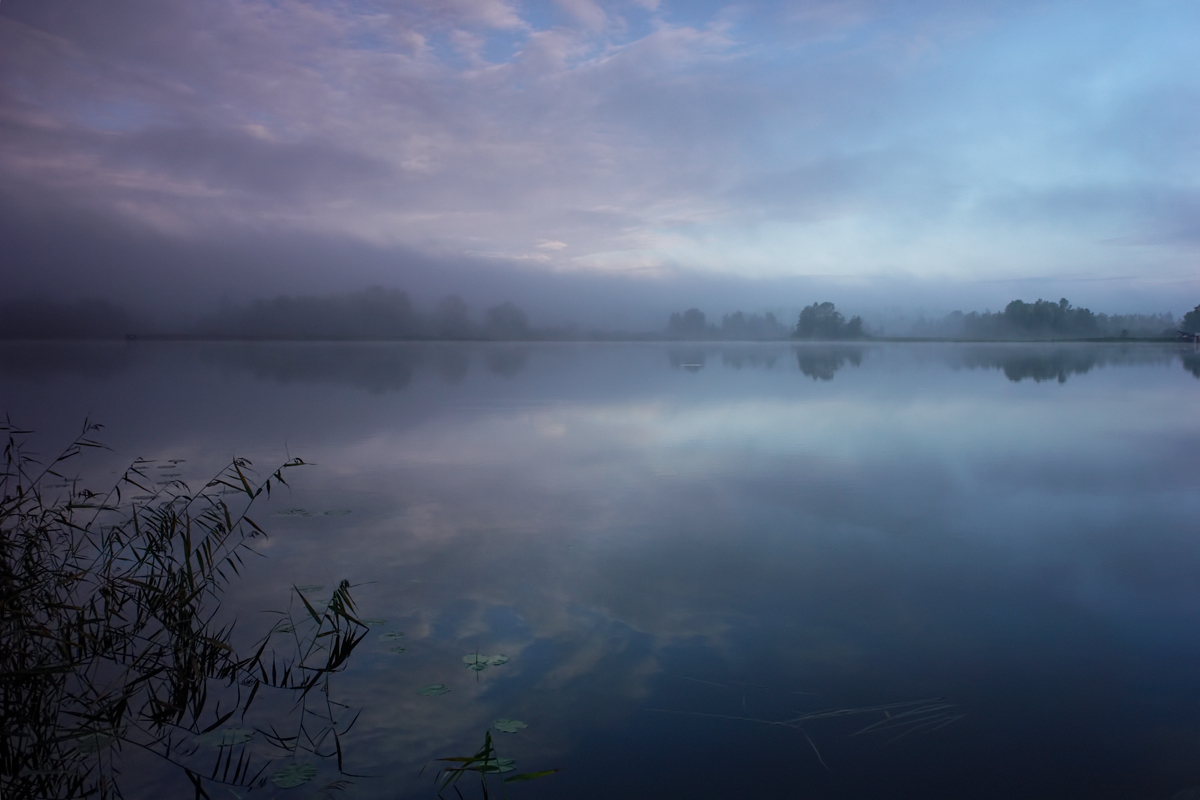 photo "***" tags: landscape, autumn, fog, morning, Приозерск