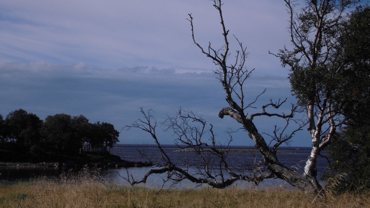 photo "***" tags: landscape, 