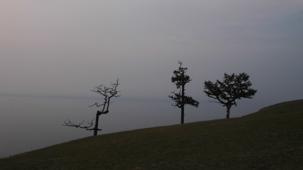photo "***" tags: landscape, 