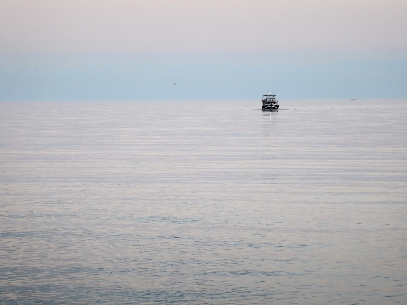 photo "Boat, sea, pink sunset" tags: travel, misc., nature, Crimea, boat, pink sunset, sea, sea, катер, розовый закат