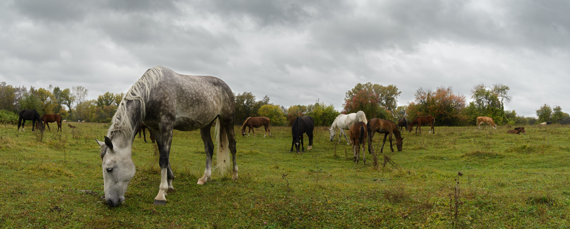 photo "***" tags: landscape, travel, panoramic, 