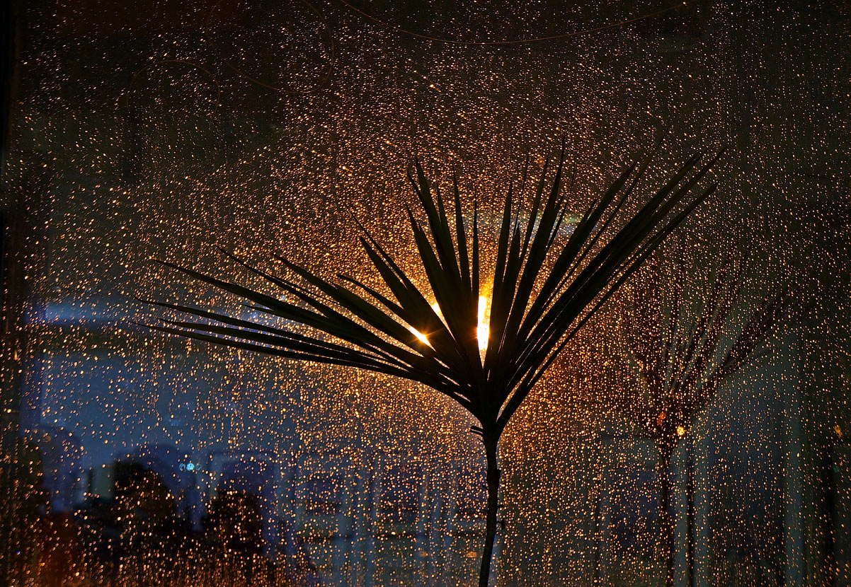 photo "Window on rain" tags: misc., night, rain