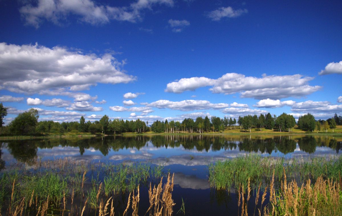 фото "Август" метки: пейзаж, природа, вода, лето, облака