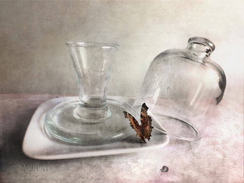 фото "Бабочка и стекло" метки: натюрморт, бабочка, стекло