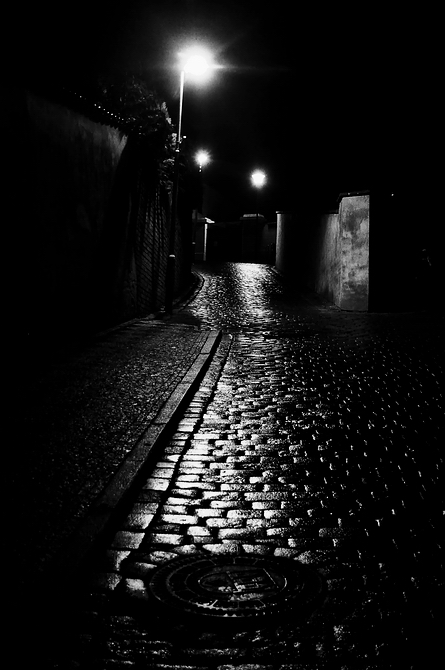 photo "Ночные фонари, мостовая и крышка канализационного люка" tags: black&white, Prag, Prague, Praha