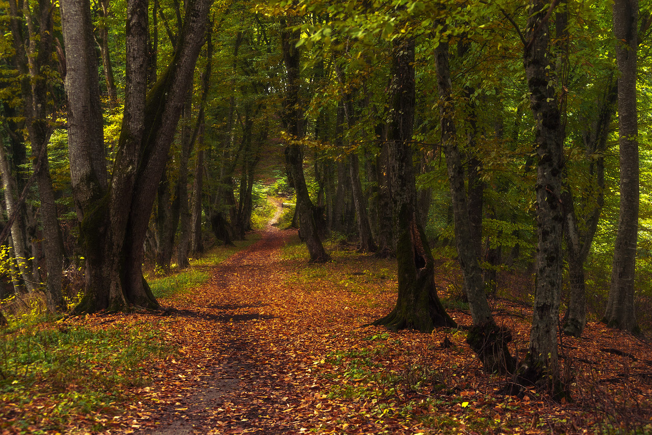 photo "***" tags: nature, Кабардино-Балкария, Кавказ