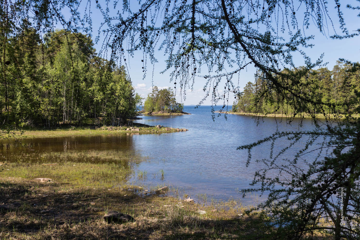 photo "***" tags: landscape, travel, nature, Karelia, Russia, forest, Валаам, Русский лес