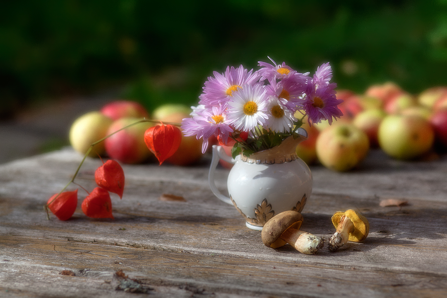 photo "***" tags: macro and close-up, still life, 