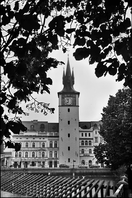 photo "Ветви, башня и дома" tags: architecture, black&white, Prag, Prague, Praha